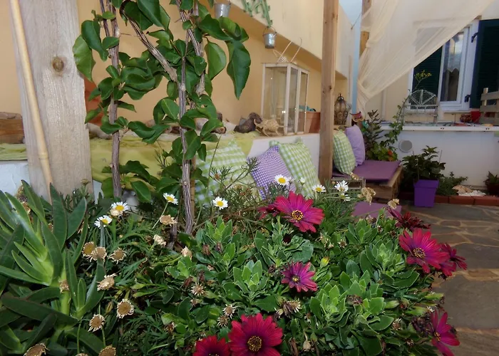 Locadiera Pansion 2*