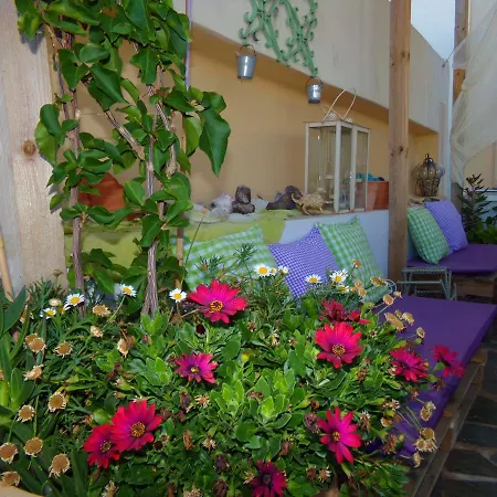 Locadiera Pansion イン