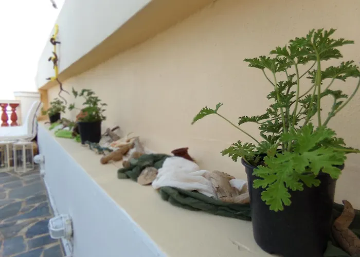 Locadiera Pansion Värdshus 2*